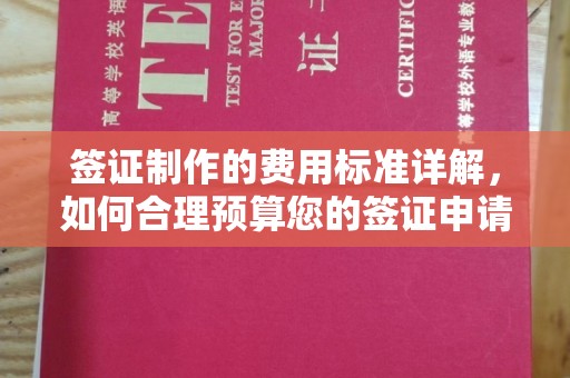南京签证制作的费用标准详解，如何合理预算您的签证申请成本
